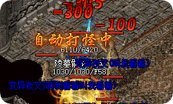 从骨灵到神兽:76版道士召唤兽养成手记