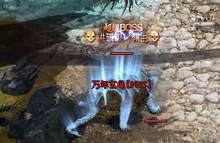 新开传奇找服网站 新开传奇找服网站